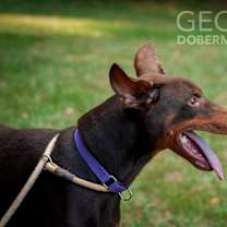 Thumbnail photo of Jet #1