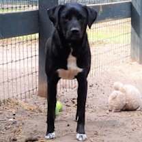 Thumbnail photo of Carol #1