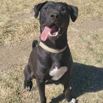 Thumbnail photo of Oscar #3