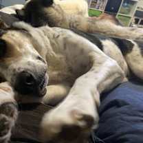 Thumbnail photo of Teri #1