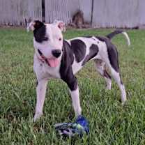 Thumbnail photo of Peaches #1