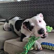 Thumbnail photo of Peaches #2