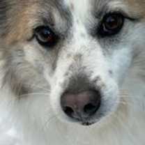 Thumbnail photo of Nora #1