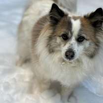 Thumbnail photo of Nora #2