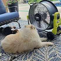 Thumbnail photo of Bear Kendall #4