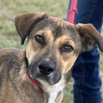 Thumbnail photo of Alex #2