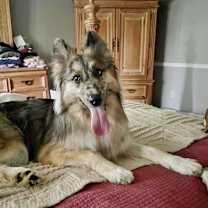 Thumbnail photo of Loba #2