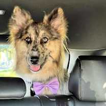 Thumbnail photo of Loba #3
