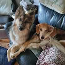 Thumbnail photo of Loba #4