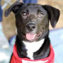 Thumbnail photo of Luna #3