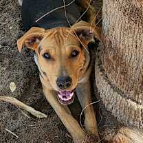Thumbnail photo of Ryker #2