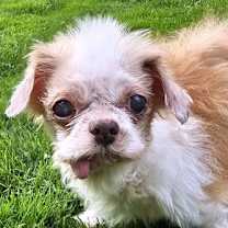 Thumbnail photo of Hollie #2