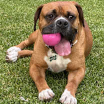 Thumbnail photo of Buford #1