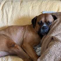 Thumbnail photo of Buford #3