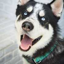 Thumbnail photo of Eddy #1