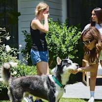 Thumbnail photo of Eddy #3