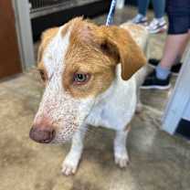 Thumbnail photo of Fletcher #2