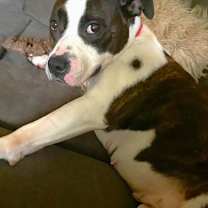 Thumbnail photo of Bliss #1