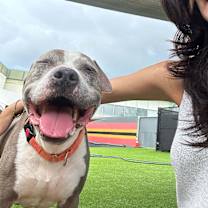 Thumbnail photo of Romeo #4