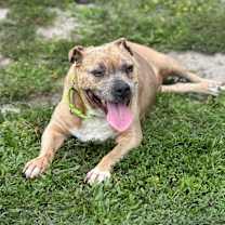 Thumbnail photo of Gabby #4