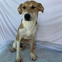 Thumbnail photo of Wylie #2