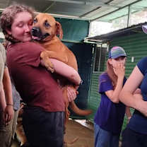 adopt-pet