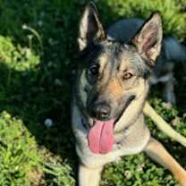 Thumbnail photo of Jasmine #2