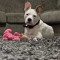 Thumbnail photo of Tina #1