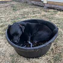 Thumbnail photo of Dankster #3