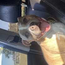 Thumbnail photo of Tony #3