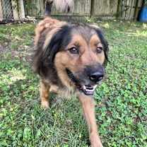 Thumbnail photo of Bear #1