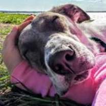 Thumbnail photo of Dolly #3