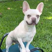 Thumbnail photo of Bernadette #2