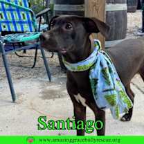 Thumbnail photo of Santiago #1