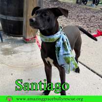 Thumbnail photo of Santiago #3