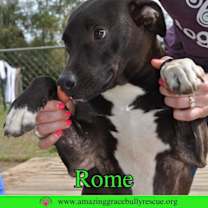 Thumbnail photo of Rome #1