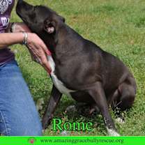 Thumbnail photo of Rome #2