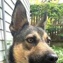 Thumbnail photo of Penelope (Penny) #4