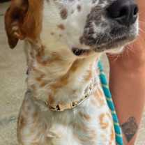 Thumbnail photo of Skyler (Cross Post) #2