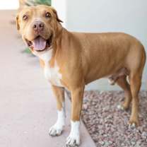 Thumbnail photo of Bruce #1