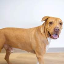 Thumbnail photo of Bruce #2