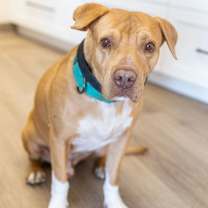 Thumbnail photo of Bruce #3