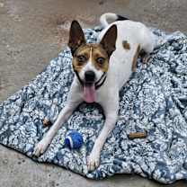 Thumbnail photo of Franny #2