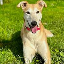 Thumbnail photo of Pandora #4