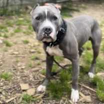 Thumbnail photo of Flex #1