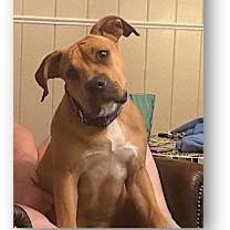 Thumbnail photo of Yogi #2