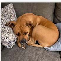 Thumbnail photo of Yogi #4