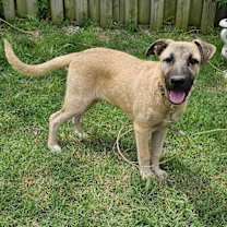 Thumbnail photo of Birdee #2