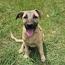 Thumbnail photo of Birdee #3