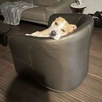 Thumbnail photo of Spike #1